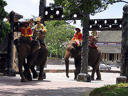 Balade en éléphant dans l'ancienne citée impériale de Hué