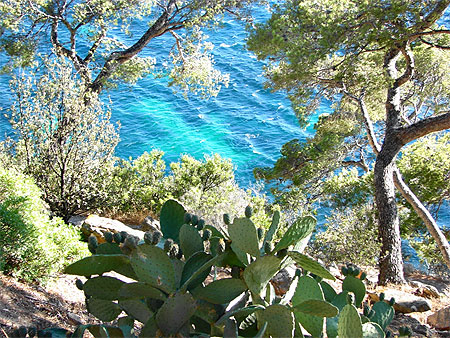 Cavalaire Cavalaire