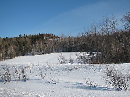 Paysage hivernal au Bic