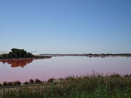 Lac rouge à Aigues-Mortes
