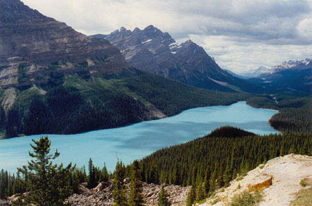 Lac Peyto Lac Peyto