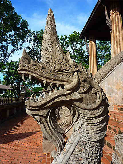 Dragon gardien du temple