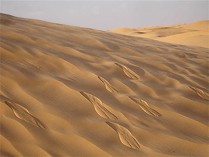 Dunes de sable