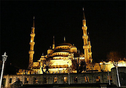 Mosquée Bleue 