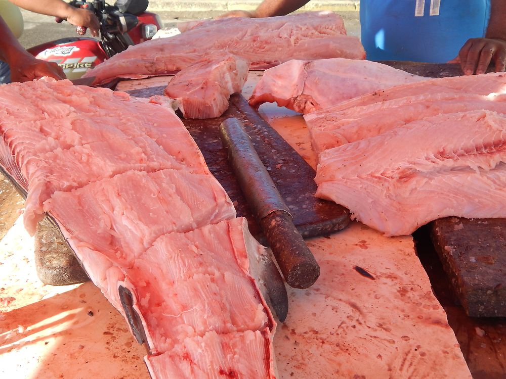 Marché aux poissons