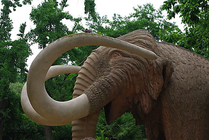 Un mamouth au parc