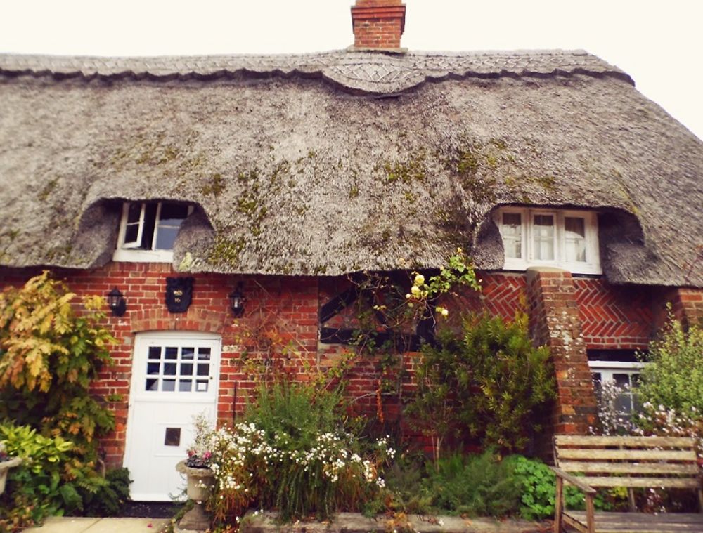 Chaumière à Brockenhurst