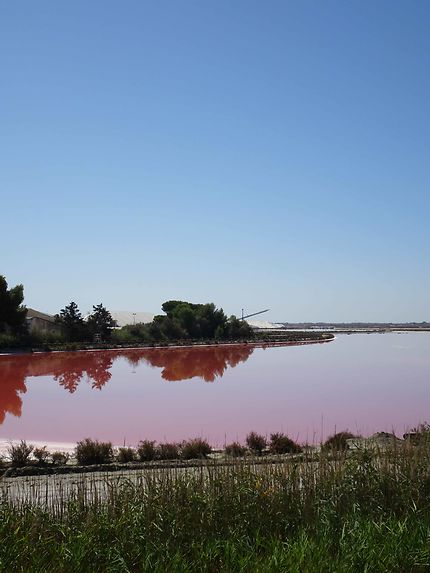 Rouge et vert à Aigues-Mortes