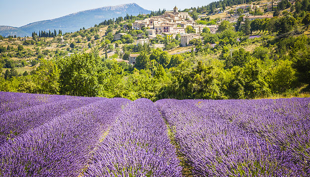 En Provence, sur les routes de la lavande © lucaar - Fotolia