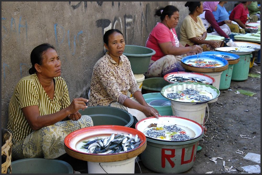 Marché poissons