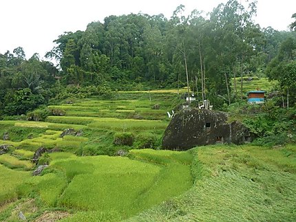 En pays Toraja