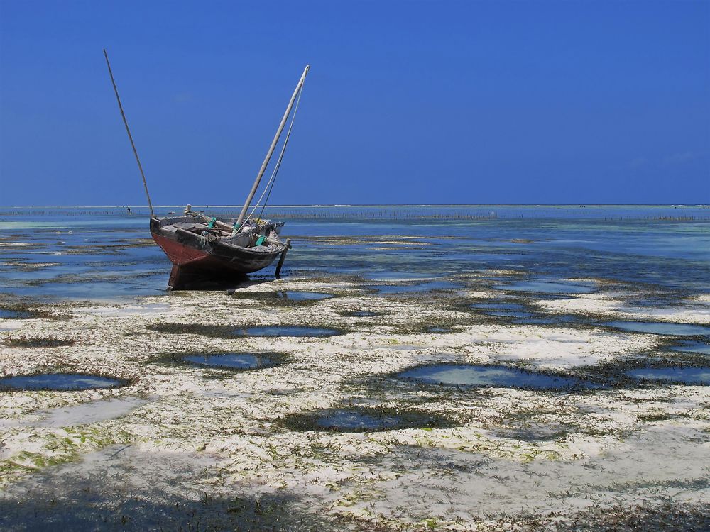 Marée basse à Matenwe