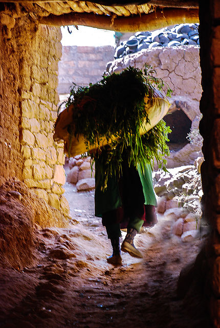 La vie rude de la paysanne marocaine