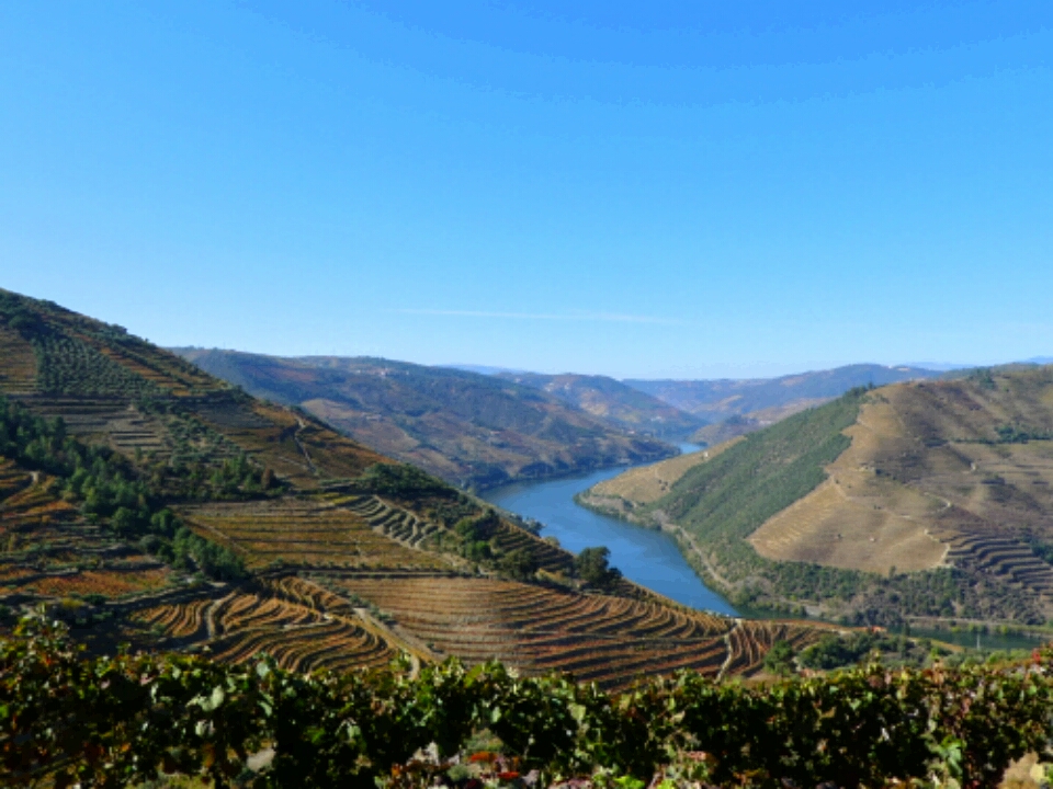Automne sur la Vallée du Douro Automne sur la Vallée du Douro