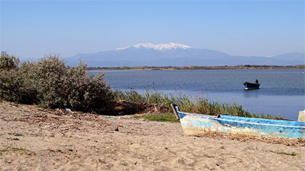 Etang de Canet-St Nazaire