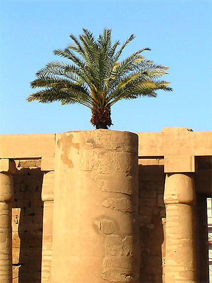 &quot;Salle des Fêtes&quot; de Thoutmousis II à Karnak