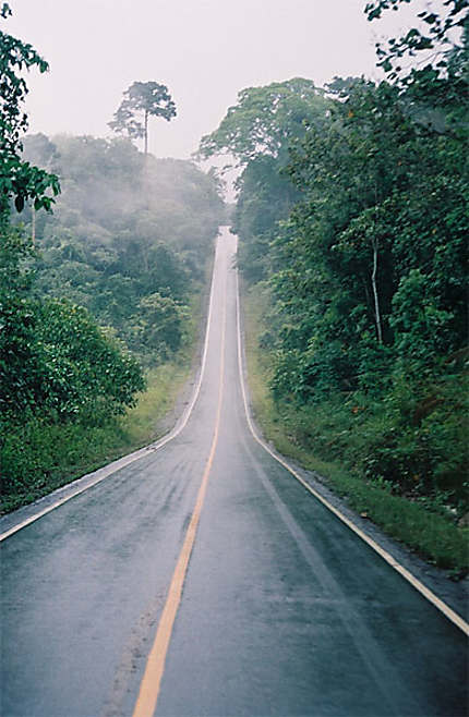 Route qui traverse le parc national de Khao Yai sous la pluie