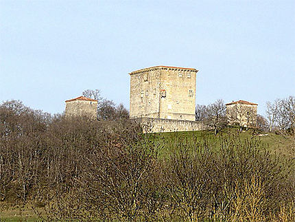 Château d'Arques