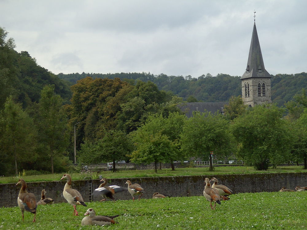 Barrage et église ste Anne à Anseremme