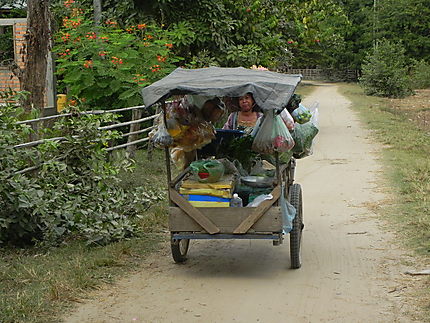 Marchande au Laos