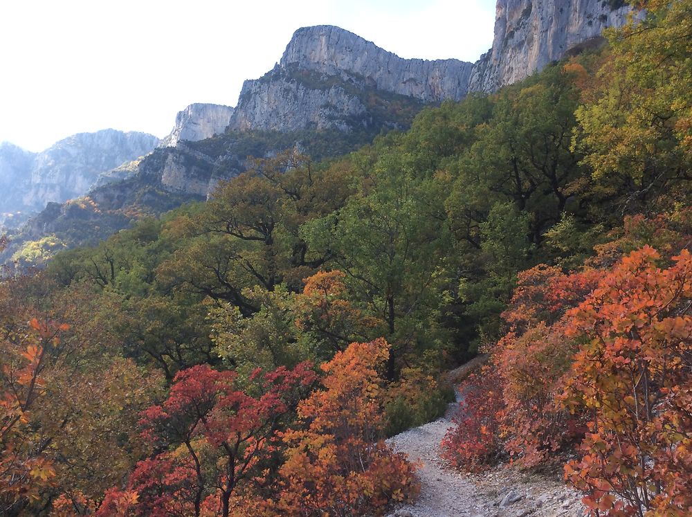 Gorges du Verdon à l’automne