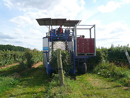 Agriculture moderne Agriculture moderne