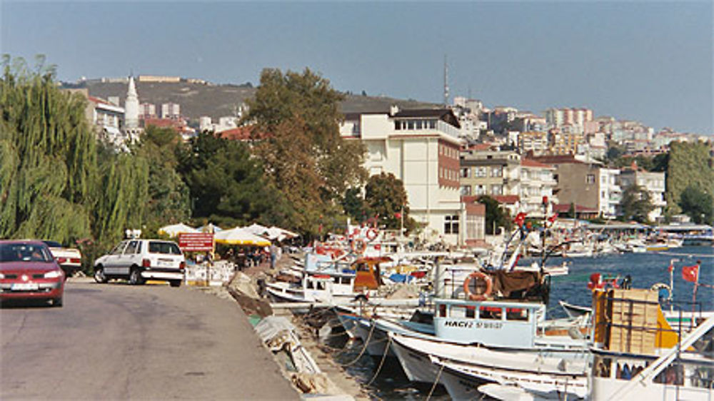 Sinop