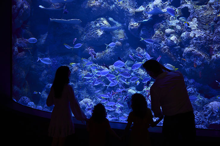 Visite nocturne de l’aquarium de Cairns