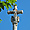 Eglise de Saint Front - croix sous le soleil