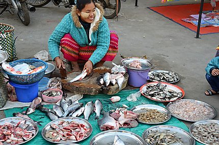 Petit marché de rue, puzzle de poissons