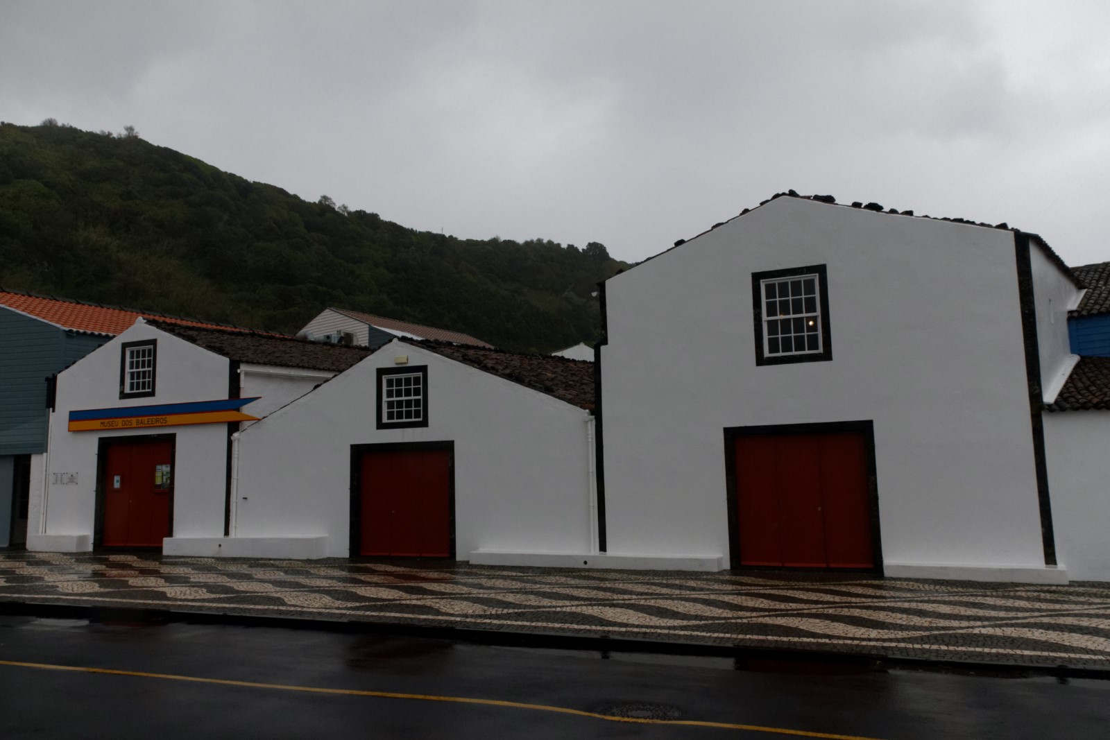 Musée de la Baleine Musée de la Baleine