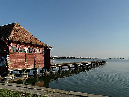 Lac de Palic, Serbie