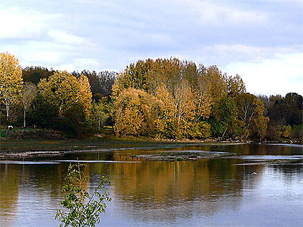 La Loire en Anjou