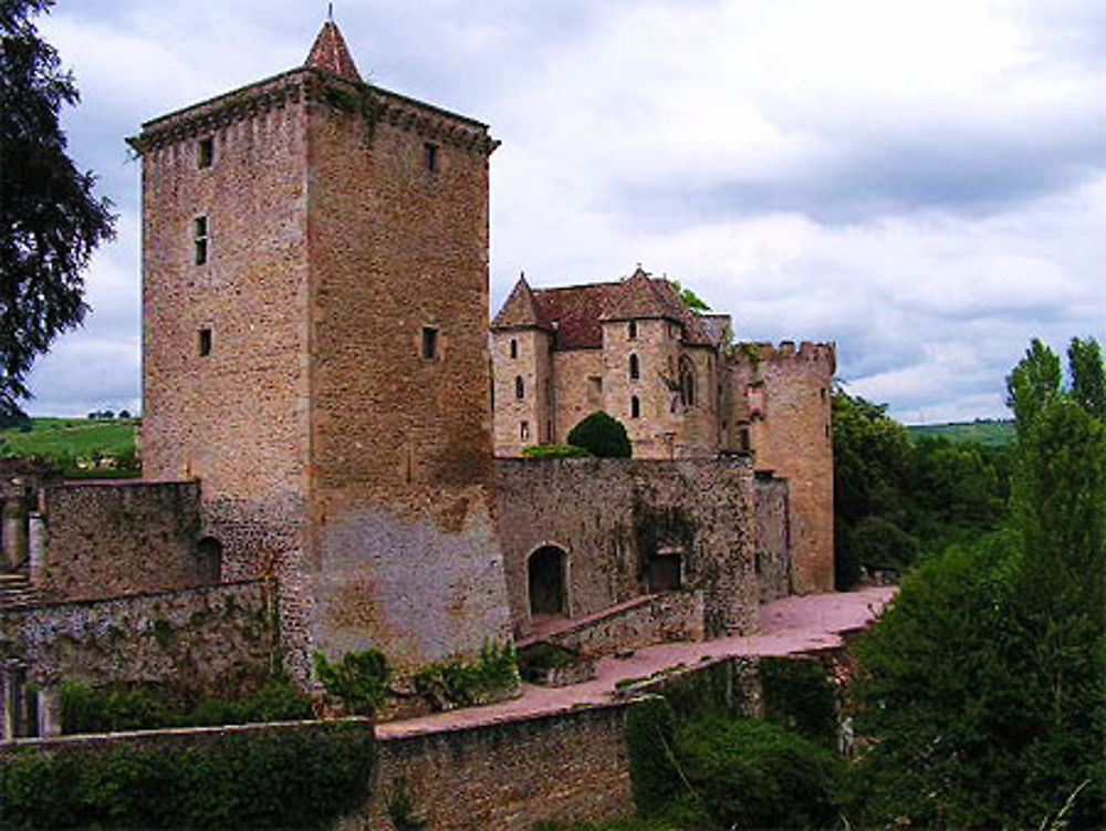 Le château de Couches