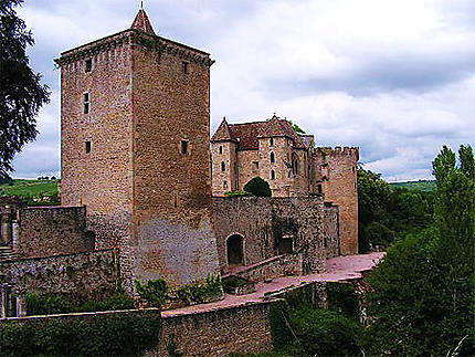 Le château de Couches