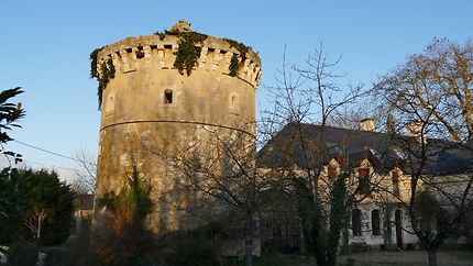 Tour du château de la Mothe Chandeniers
