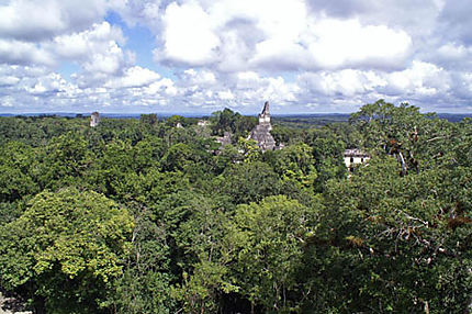 Magique Tikal !
