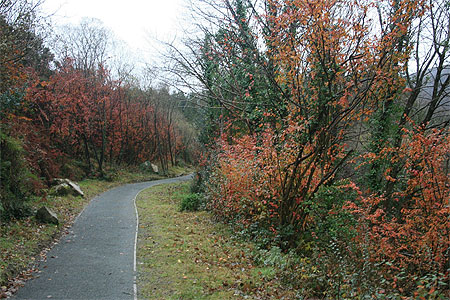 Superbes couleurs d'Automne Superbes couleurs d'Automne