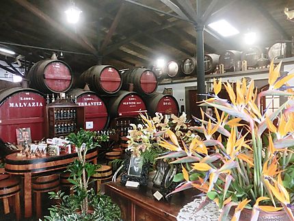 Musée du vin de Madère