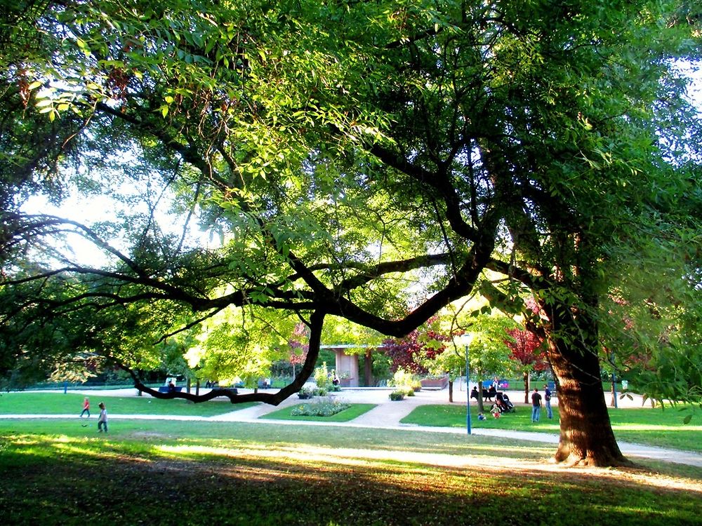 Sous-bois, parc de la Butte du Chapeau-Rouge