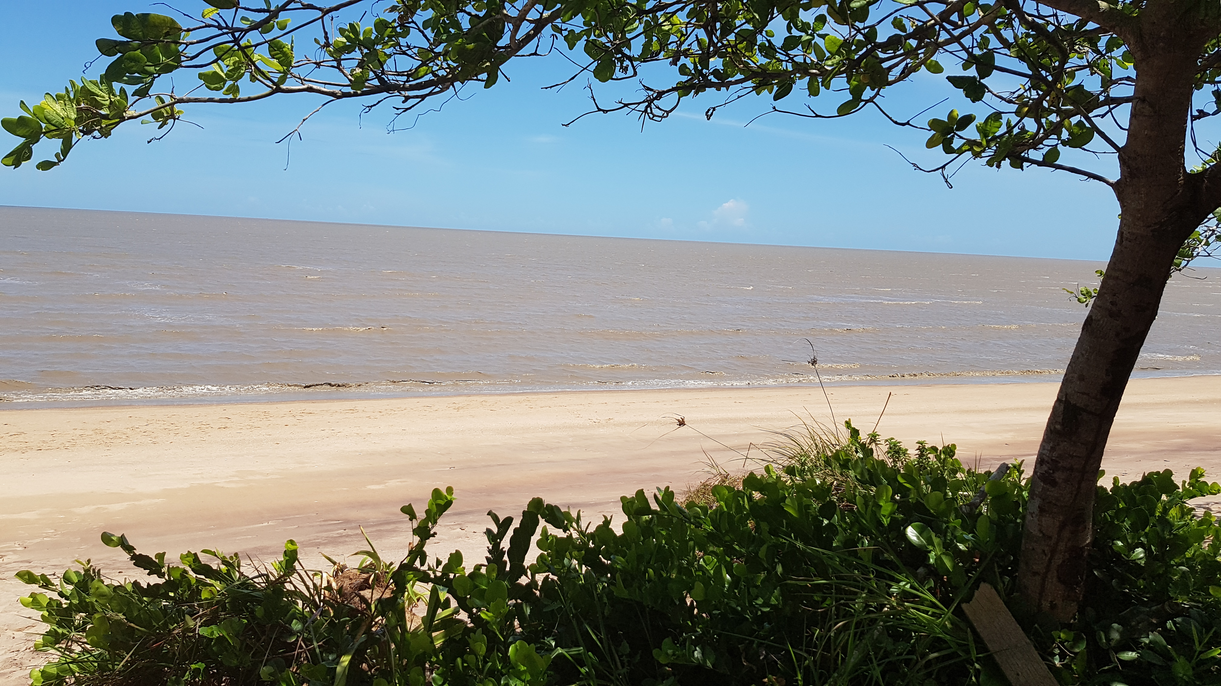 Plage d'Awala Plage d'Awala