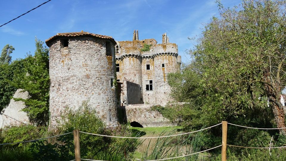 Chateau féodal de l'Ebaupinay