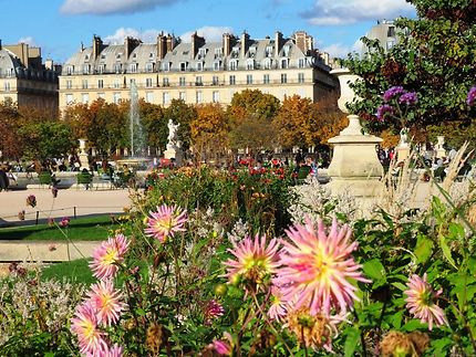 L'automne au jardin des Tuileries