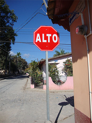 Alto Alto