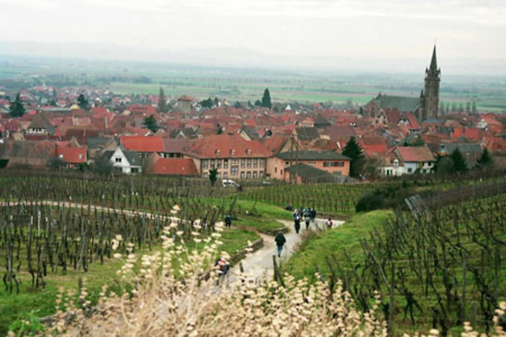 Dambach-la-Ville