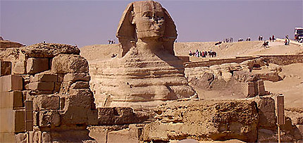 Majesteux sphinx