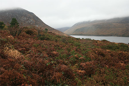 Silent Valley Silent Valley