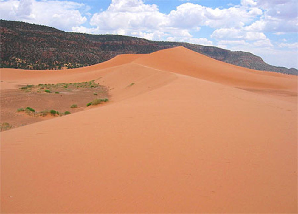 Coral Pink Sand Dunes