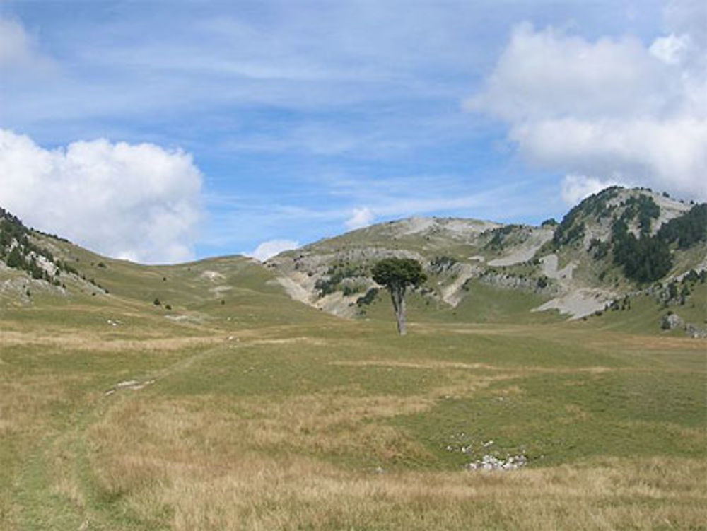 La plaine de Queyrie