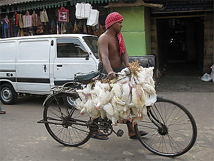 Dans les rues de Calcutta